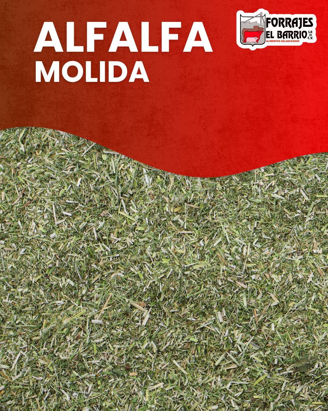 ALFALFA MOLIDA