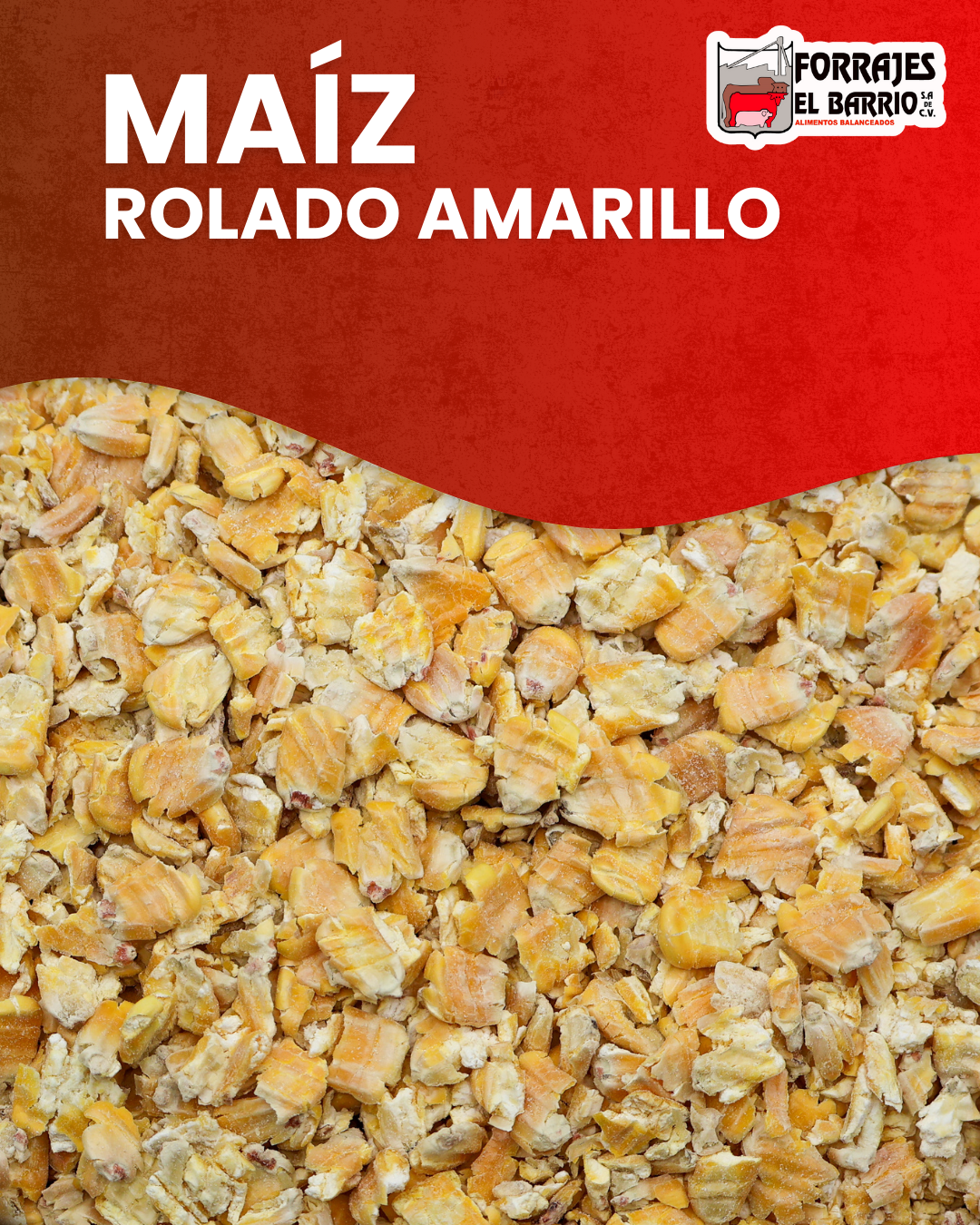 MAIZ ROLADO AMARILLO