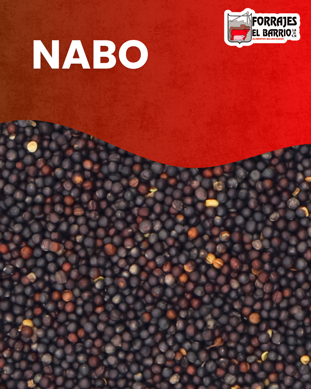 NABO
