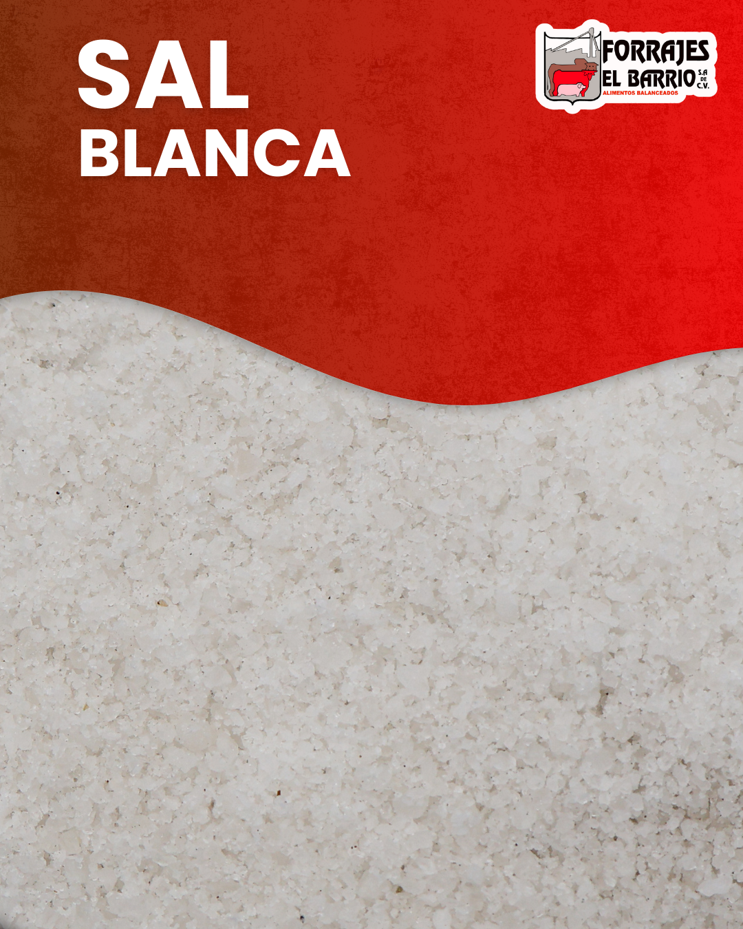 SAL BLANCA