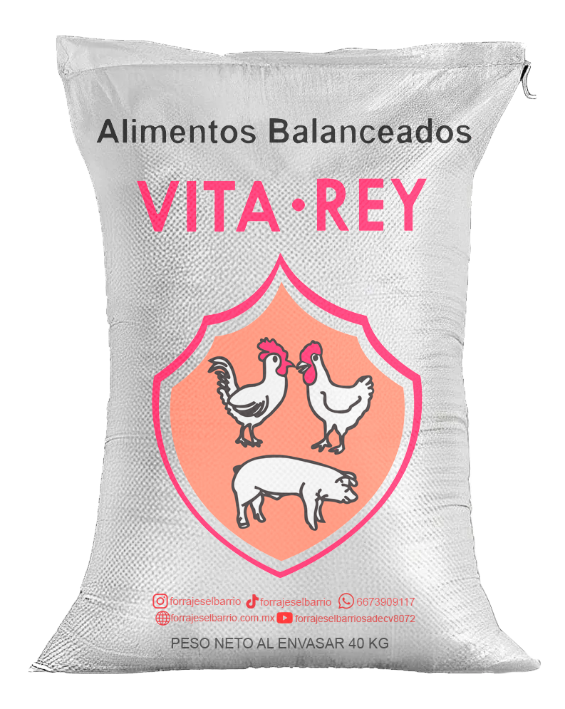 DESARROLLO POLLA MIGAJA  